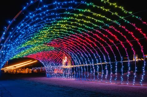 Discover the Magic: Colorado Springs' Illuminating Light Show